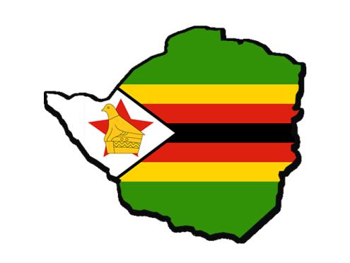 ZIM ZSU